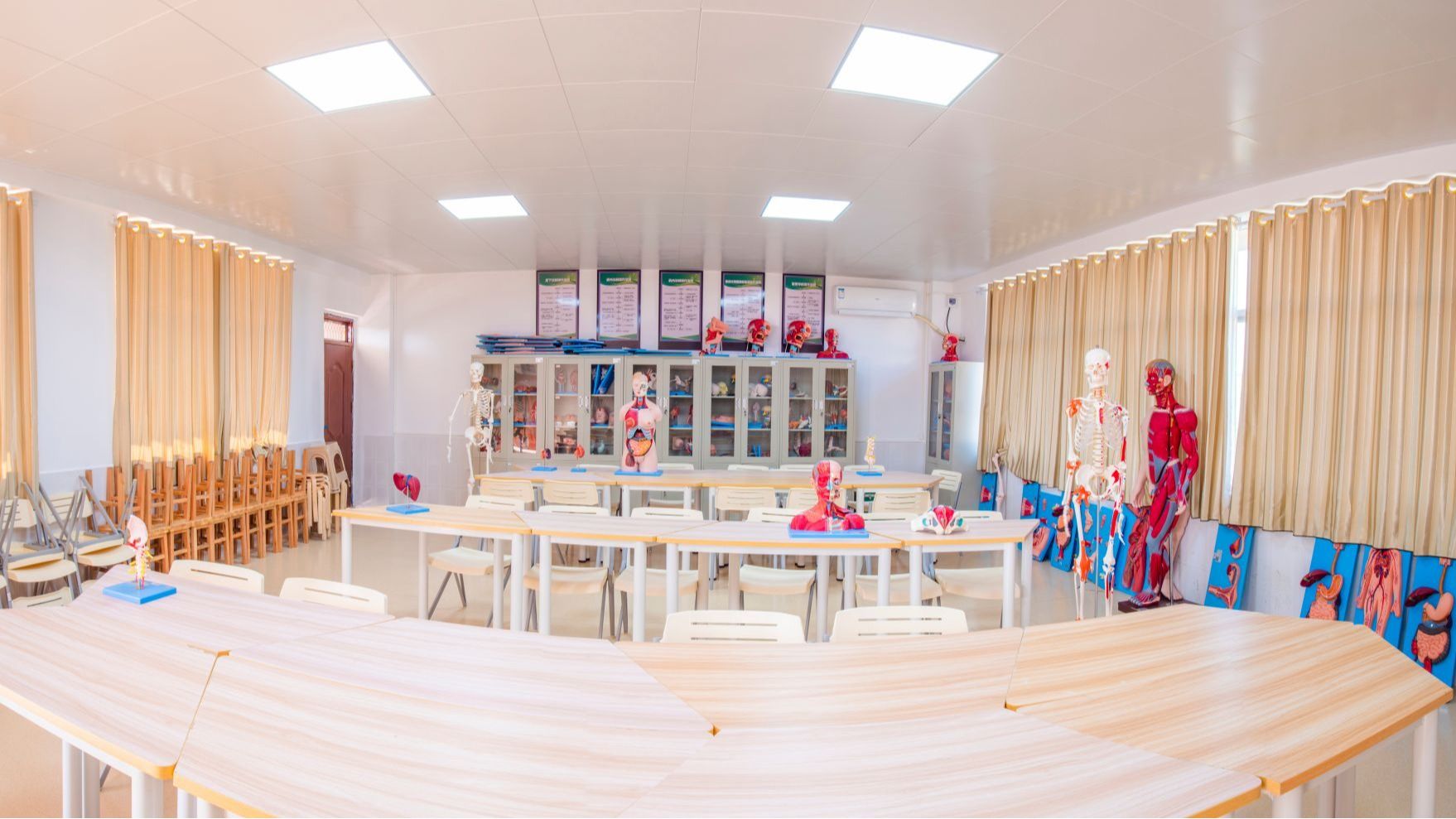 人体形态与结构实训室