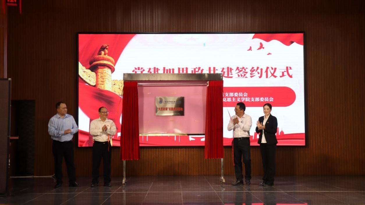 先锋矩阵聚合力，党建领航开新局