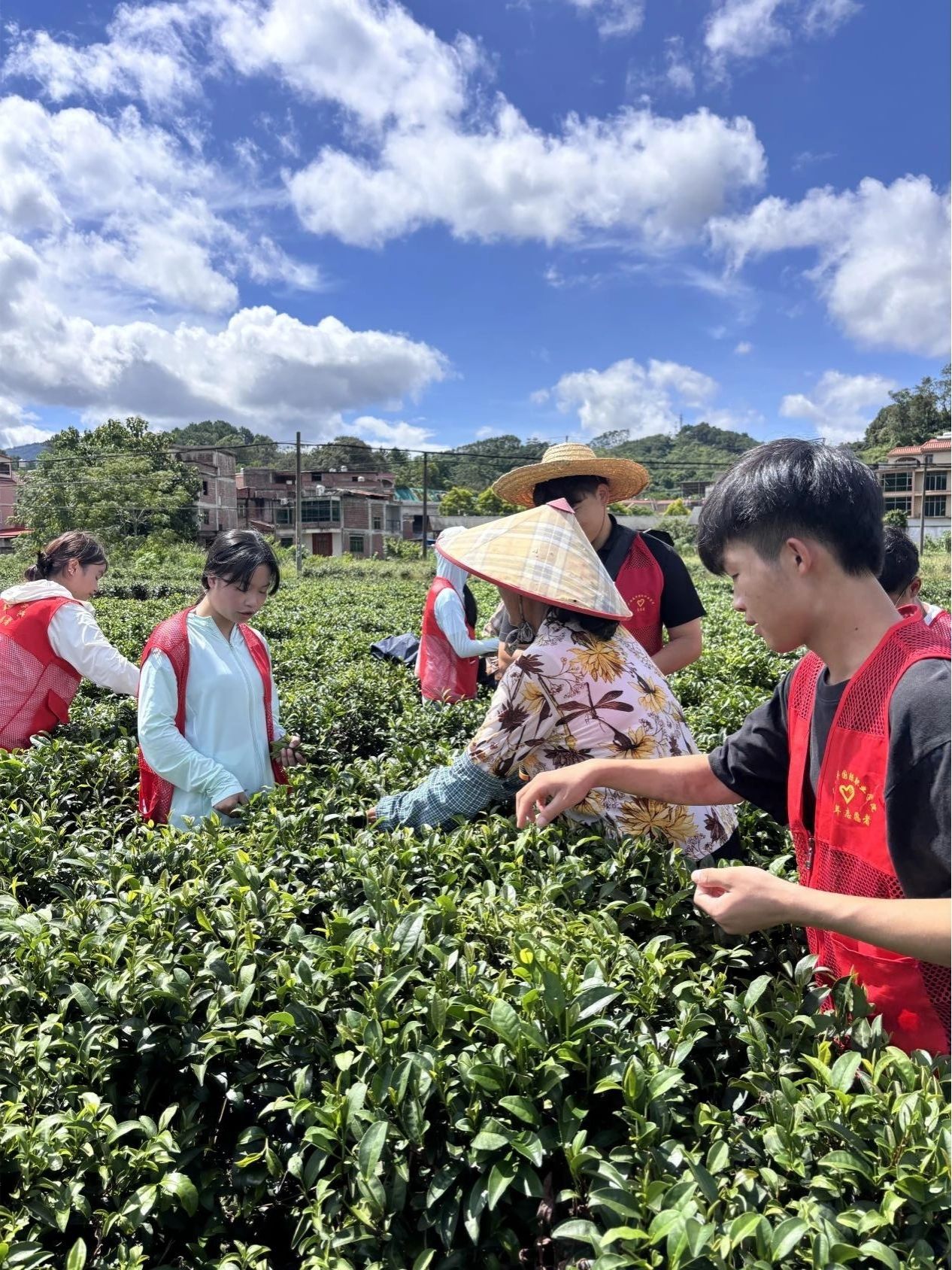 学生们跟随村民进行实地调研