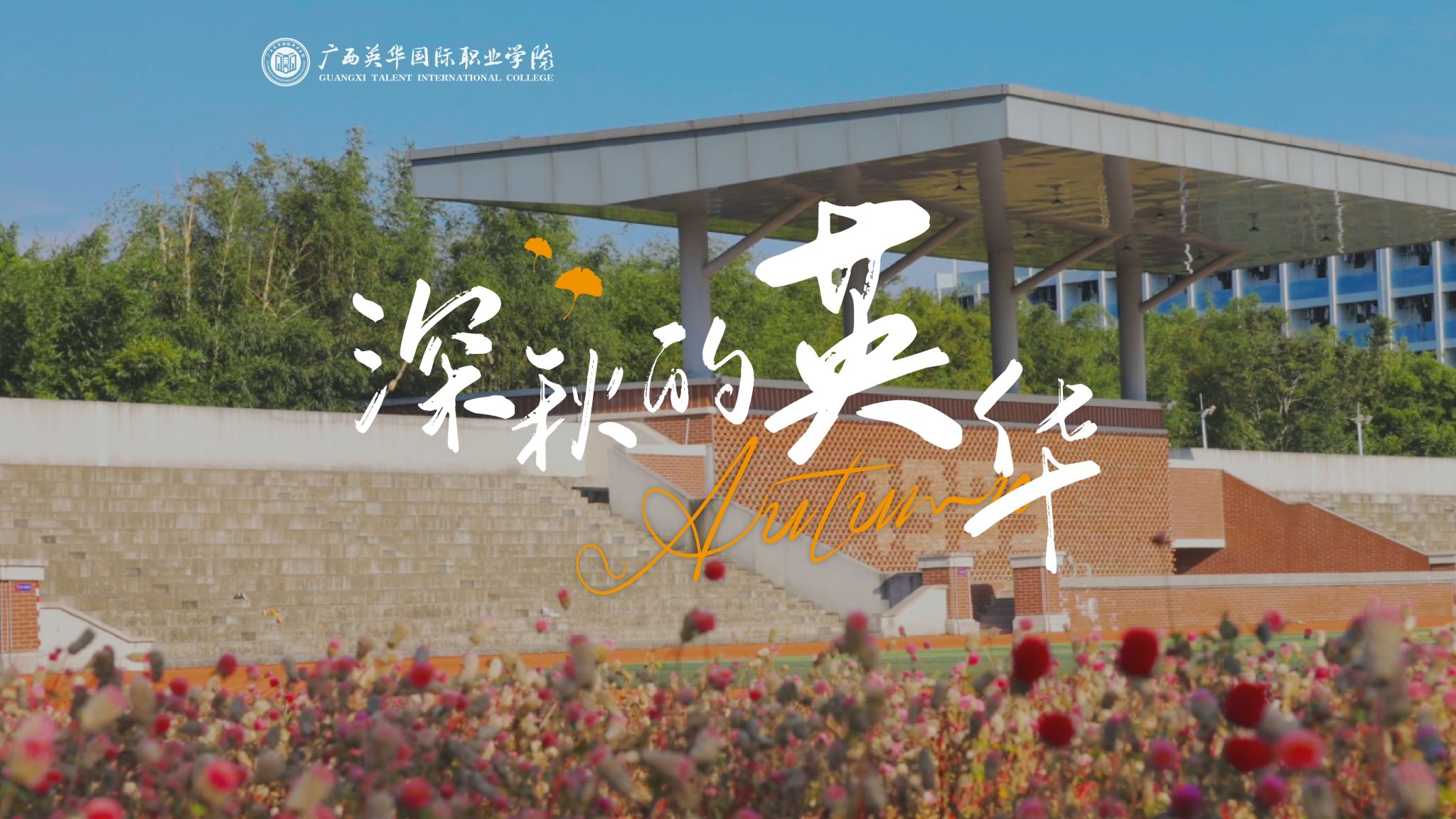 晴日漫英华，深秋里的求学暖时光