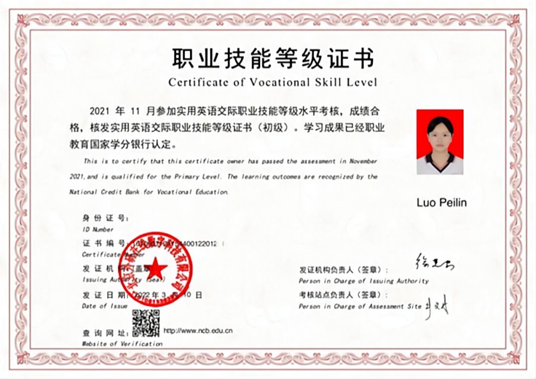 技能等级职业证书